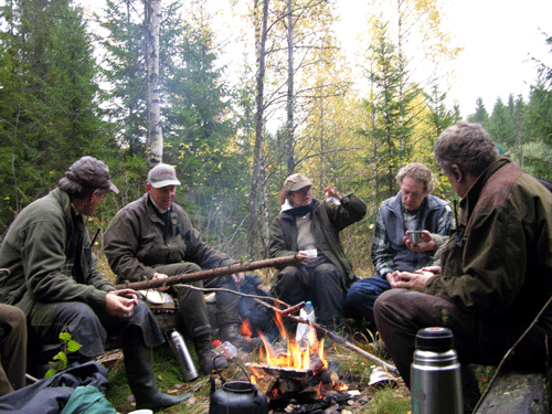 Moose hunt in Norway, hunting package
