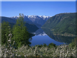 Ulvik, Destination Hardanger