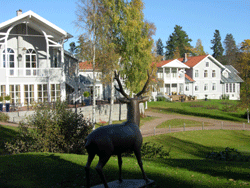Moose hunt in Norway, hunting package, Losby Gods in Automn