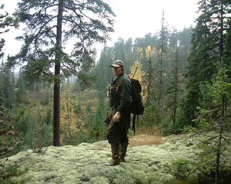 Moose hunt in Norway, guided hunting package