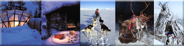 Hotel Kakslauttanen activities