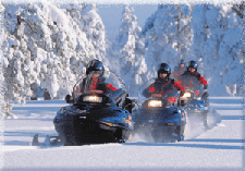 Snowmobile safaris